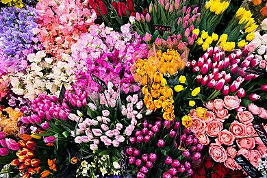 黑曜石CEO希望退休之前能再开发一款新辐射游戏