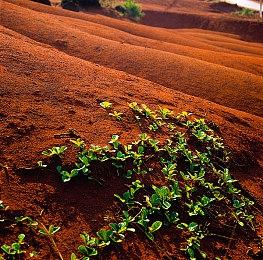 Epic喜加二：《古墓丽影暗影》《淹没：隐藏深处》免费领